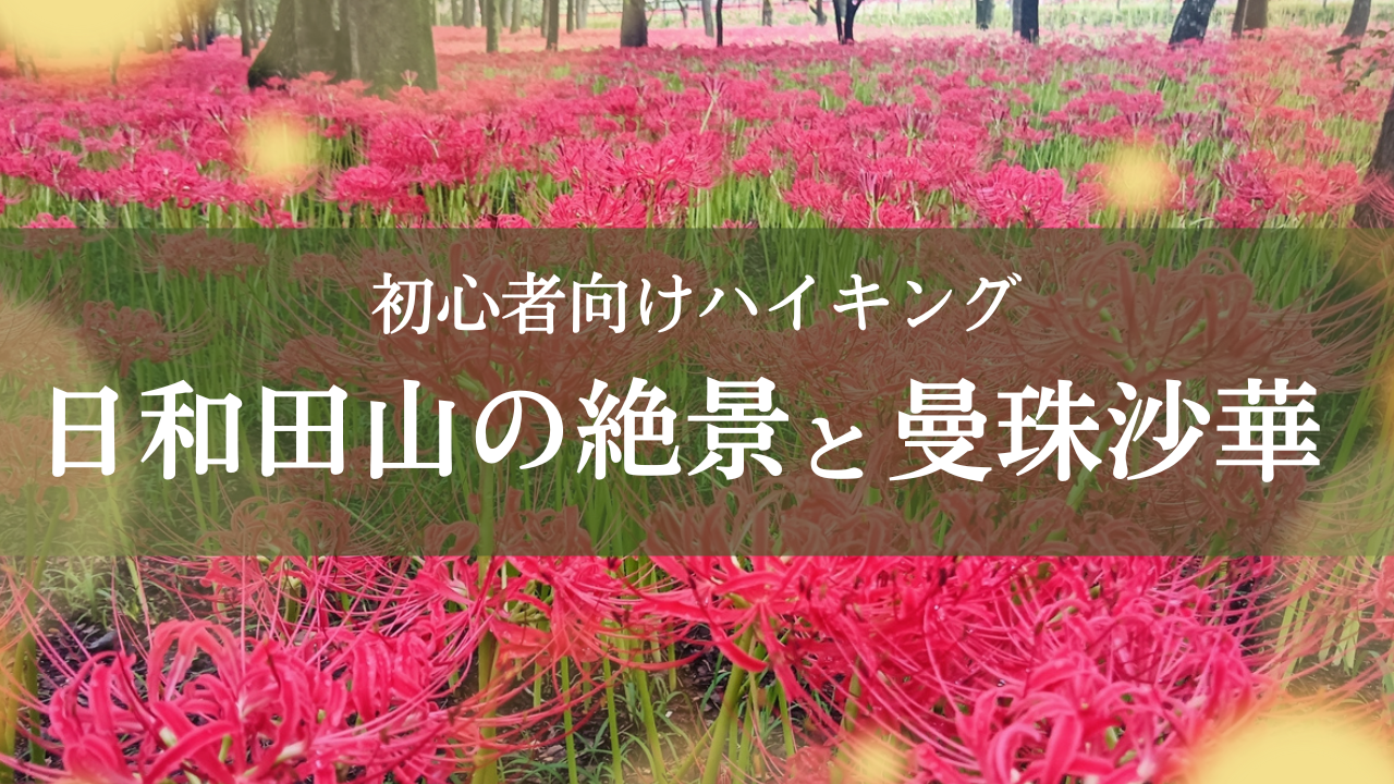 日和田山の絶景と曼珠沙華