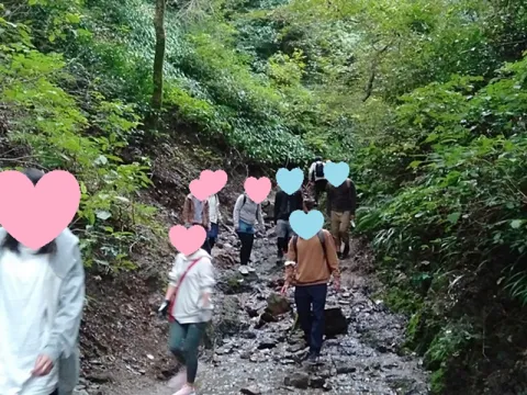 高尾山の下山