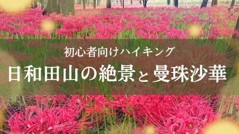 日和田山の絶景と曼珠沙華