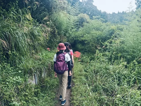 登山道あるき